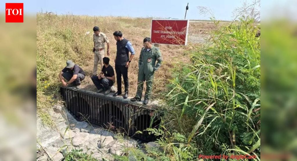 विमानतळावर मोठी मांजर शोधण्यासाठी वन विभागाच्या रडारवर ड्रोन