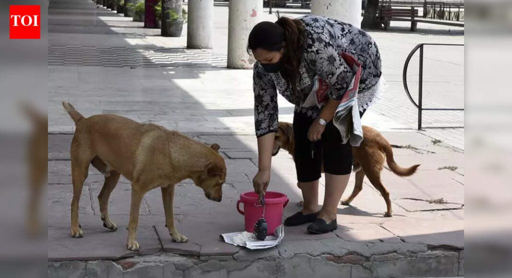 PMC नागरिकांना भटक्या कुत्र्यांना खाद्य देणारी ठिकाणे ओळखण्याचे आवाहन करते