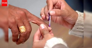 SEC स्थानिक स्वराज्य संस्थांमध्ये निवडणूक थांबवते जिथे न्यायालयाच्या निकालाशिवाय चिन्हांचे वाटप केले जाते