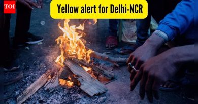 दिल्ली हिवाळ्यातील प्रवास अपडेट: आयएमडीने 2 ते 5 डिसेंबर दरम्यान पिवळा अलर्ट जारी केला; थंडीची लाट, धुके आणि इतर गोष्टींसाठी तयार राहा |