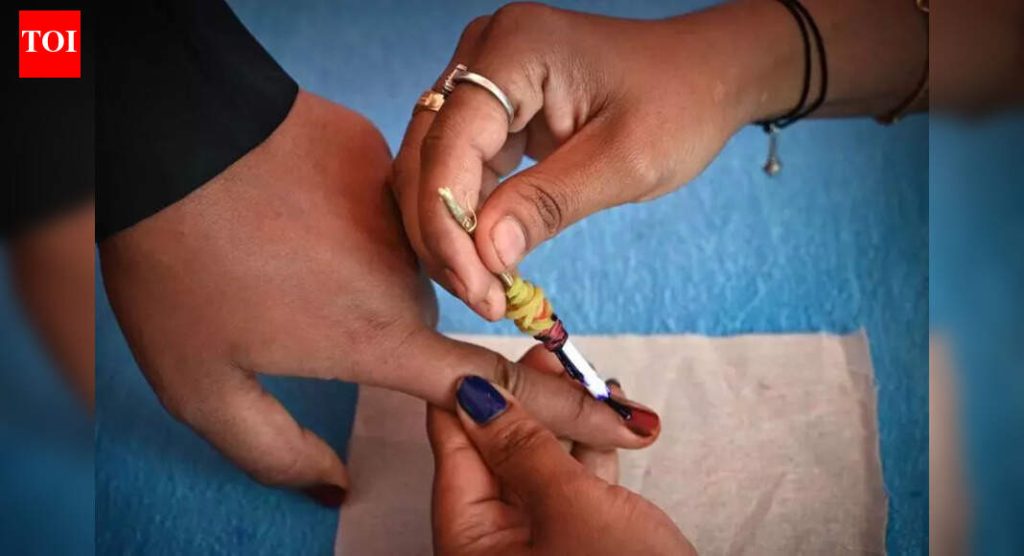 काँग्रेस, राष्ट्रवादी काँग्रेस (एसपी) यांनी पुण्यातील निवडणूक इच्छुकांच्या मुलाखती सुरू केल्या आहेत, शनिवार व रविवारपर्यंत पूर्ण होण्याची अपेक्षा आहे