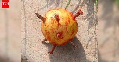 कॅन्सर बरा करण्यासाठी आणि प्रार्थनेच्या दाव्यांद्वारे संपत्ती मिळविण्यासाठी दोघांवर गुन्हा दाखल