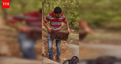 अंगावर उठणार्या पित्ताच्या गाठी पडतात, परागकणांची संख्या डुबकी मारते आणि प्लॅन बीशिवाय शेतात संघर्ष होतो