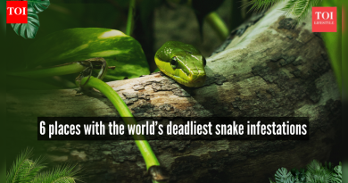 जगातील सर्वात प्राणघातक सापांची 6 ठिकाणे