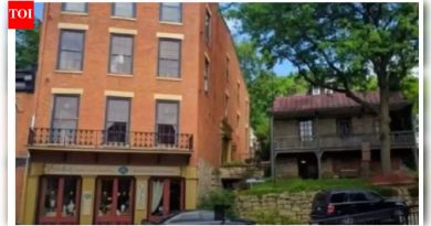 ऑप्टिकल भ्रम: या चित्रात लपलेला घोडा 15 सेकंदांच्या आत तुम्ही शोधू शकता?