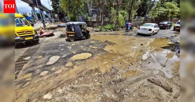 हिंजवडीतील तंत्रज्ञांनी निवडणुकीपूर्वी आयटी पार्कमध्ये जागतिक दर्जाच्या पायाभूत सुविधांची मागणी केली आहे