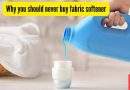 फॅब्रिक मऊ करणारे डिटर्जंट तुम्ही कधीही का खरेदी करू नये |