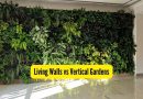 लिव्हिंग वॉल्स वि वर्टिकल गार्डन्स: वास्तविक फरक काय आहे, कोणता सर्वोत्तम आहे आणि का?