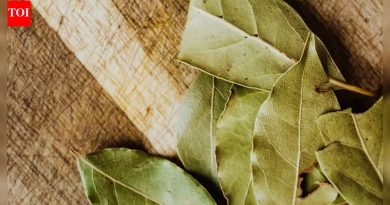 ही तमालपत्र युक्ती तुमची पेंट्री आणि कपाट कीटकमुक्त ठेवू शकते |