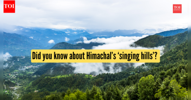 तुम्हाला हिमाचलच्या ‘सिंगिंग हिल्स’बद्दल माहिती आहे का? त्यांना कुठे शोधायचे ते येथे आहे |