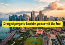 2026 मध्ये जगातील सर्वात मजबूत पासपोर्टसह तुम्ही ‘व्हिसा-फ्री’ किती देशांना भेट देऊ शकता?