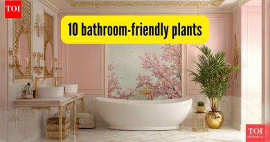 10 बाथरूम-अनुकूल वनस्पती जे हवा शुद्ध करतात आणि अप्रत्यक्ष सूर्यप्रकाशात भरभराट करतात