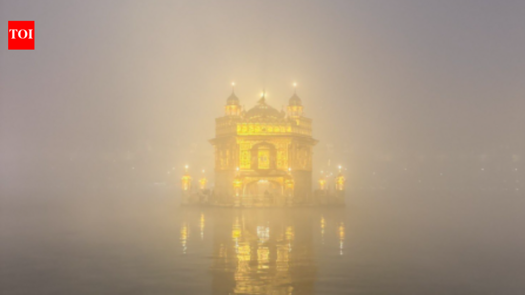 आनंद महिंद्रा भारतातील या ठिकाणाचे सौंदर्य पाहून थक्क झाले आहेत, “आतापर्यंतच्या सर्वात सुंदर फोटोंपैकी एक…” |