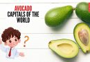 कुतूहल कोपरा: जगातील एवोकॅडो राजधानी कोणते ठिकाण आहे |