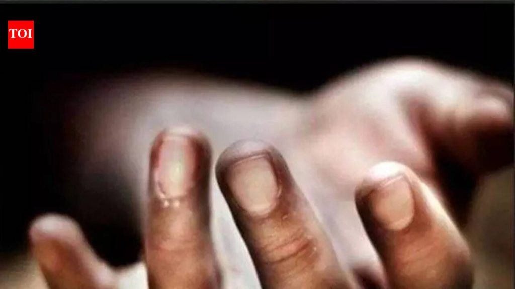 चाकण येथे मोटारसायकलने वृद्धाला धडक दिली