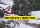 मोसमातील पहिल्या मोठ्या हिमवृष्टीने हिमाचल प्रदेशला झोडपून काढले, शिमला, मनाली आणि लाहौल-स्पिती; IMD ने ऑरेंज अलर्ट जारी केला |