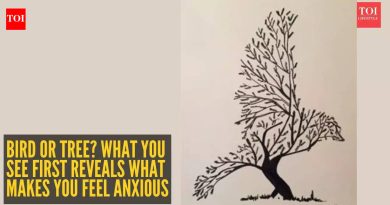 ऑप्टिकल भ्रम व्यक्तिमत्व चाचणी: पक्षी की झाड? तुम्ही प्रथम जे पाहता ते तुम्हाला कशामुळे चिंता वाटते ते प्रकट करते |