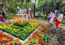 एअर प्लांट्सपासून ते ‘किचन इकेबाना’ पर्यंत, एम्प्रेस गार्डन फ्लॉवर शोने गर्दी खेचली | पुणे बातम्या