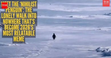 स्पष्टीकरण: पेंग्विनचा ‘डेथ मार्च’ का व्हायरल होत आहे? ‘निहिलिस्ट पेंग्विन’ मेममागील अर्थ जाणून घ्या