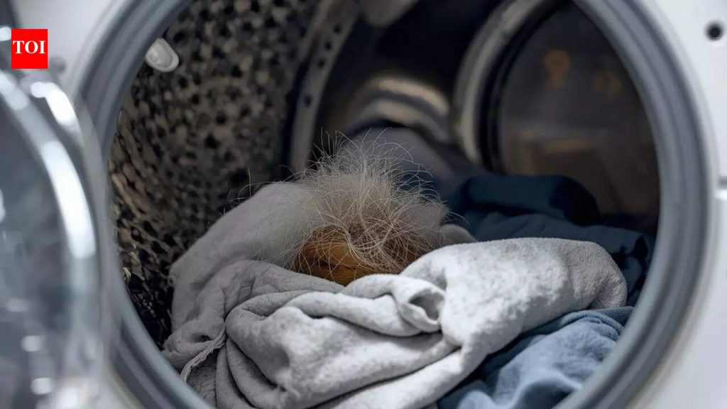 साध्या ओल्या वाइपचा वापर करून पाळीव प्राण्यांचे केस कपड्यांमधून कसे काढायचे