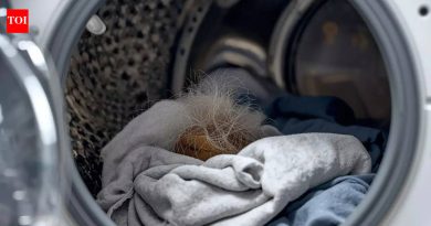 साध्या ओल्या वाइपचा वापर करून पाळीव प्राण्यांचे केस कपड्यांमधून कसे काढायचे