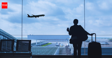 अविवाहित राहणे हा लाल झेंडा आहे का? व्हिसा प्रणाली अविवाहित महिलांची वेगळ्या पद्धतीने तपासणी करतात का? |