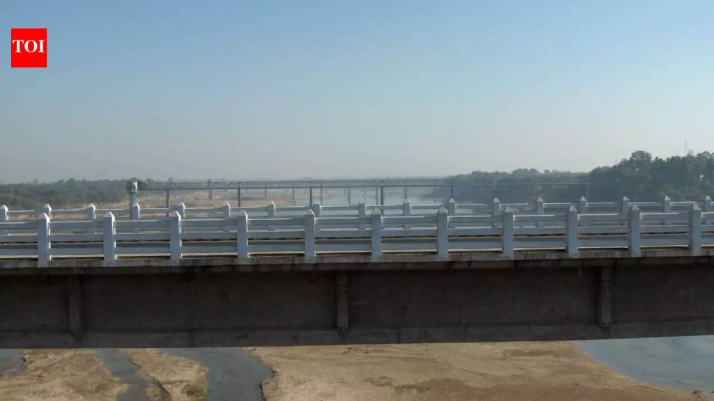 गुजरातमधील भारतातील “मगर नदी” मध्ये जिथे सरपटणारे प्राणी घर आणि रस्त्यांच्या बाजूला राहतात |