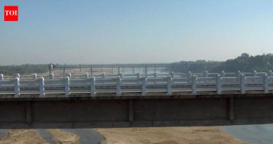 गुजरातमधील भारतातील “मगर नदी” मध्ये जिथे सरपटणारे प्राणी घर आणि रस्त्यांच्या बाजूला राहतात |