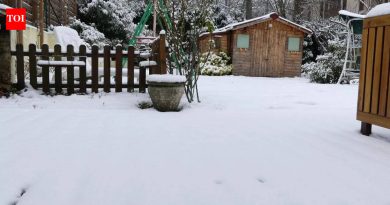 हिवाळ्यातील चेतावणी: 7 गोष्टी तुम्ही अतिशीत हवामानात कधीही बाहेर सोडू नये |