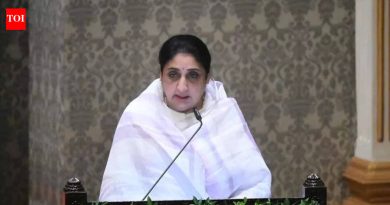 सुनेत्रा बारामती विधानसभा मतदारसंघातून पोटनिवडणूक लढवू शकतात पुणे बातम्या
