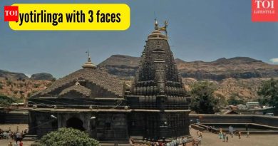 ‘ज्या क्षणी मी आत पाऊल टाकले, ऊर्जा बदलली.’ तीन मुख असलेले एकमेव ज्योतिर्लिंग पाहणे हा एक अनुभव होता जो मी कधीही विसरू शकत नाही |