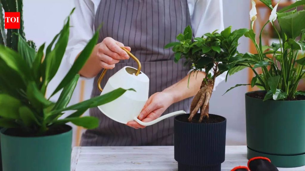 जुने, तुटलेले भांडे आणि कूकवेअरचे 5 चमकदार उपयोग