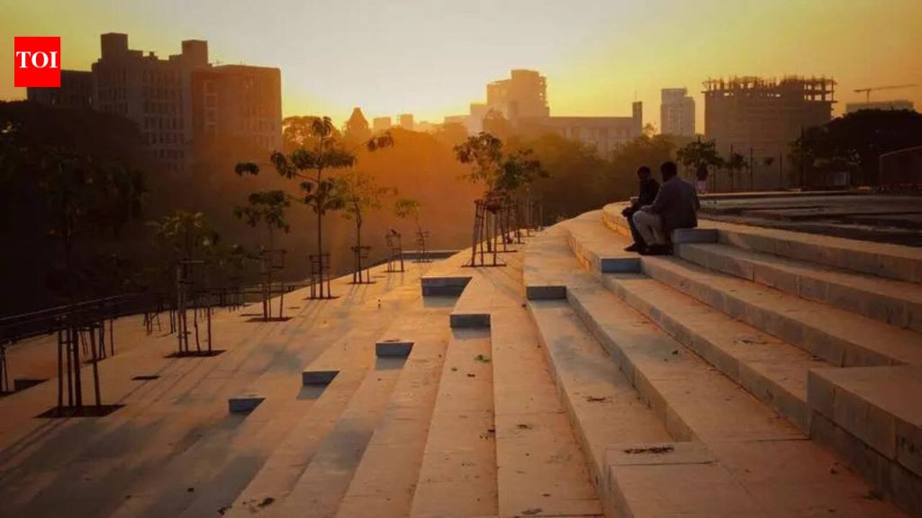 RFD प्रकल्पाच्या बाजूने बंड गार्डन-मुंढवा 100 फूट रस्ता पाडण्याच्या याचिकेत कोणतीही सक्ती नाही: NGT