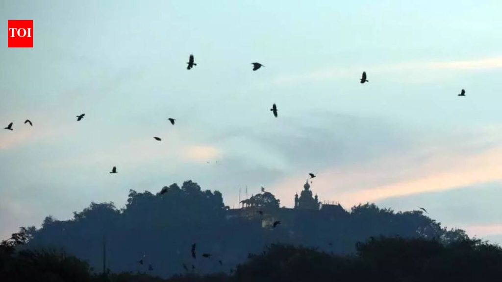 राज्यभरात किमान घसरण