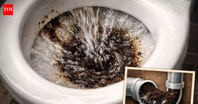 कॉफी ग्राउंड फ्लश करणे सुरक्षित आहे असे वाटते? तुमच्या पाईप्ससाठी ते धोकादायक असू शकते असे तज्ञ का सांगतात ते येथे आहे |