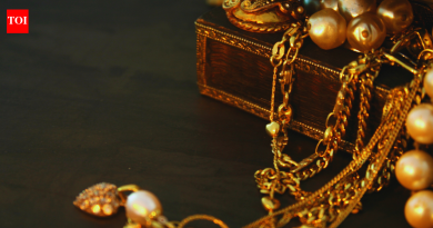 कर्नाटकातील या गावात बांधकामादरम्यान गाडलेले सोने सापडले – पण तो खजिना नाही. येथे आहे का |