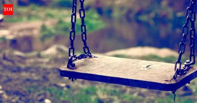 “माझे हृदय तुटले. आम्ही हेच रोखण्याचा प्रयत्न करत होतो:” 5 वर्षाच्या मुलाला एका प्रसिद्ध उद्यानात झुल्यावर का बसू दिले नाही |