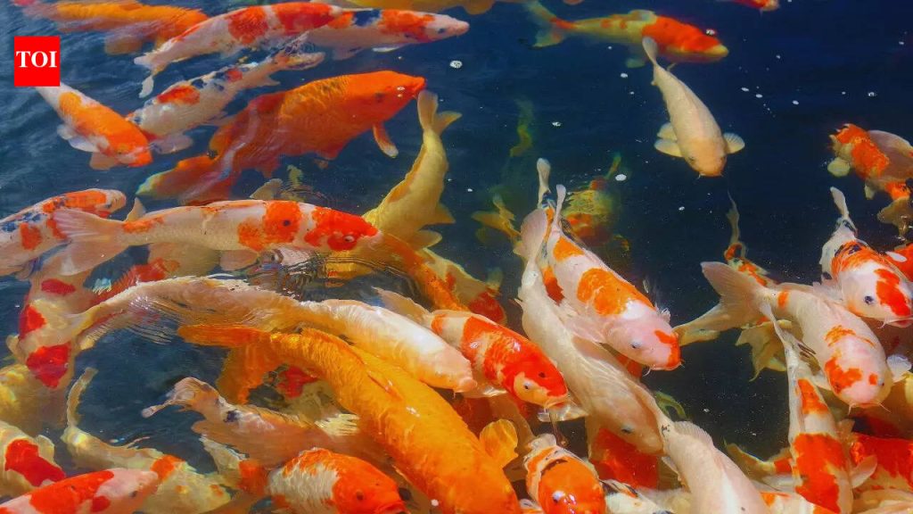 संपत्ती आणि समृद्धी आकर्षित करण्यासाठी 6 वास्तु-शिफारस केलेले पेंटिंग तुमच्या घरात असावेत