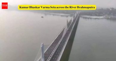 कुमार भास्कर वर्मा सेतू: पंतप्रधान नरेंद्र मोदी यांच्या हस्ते कुमार भास्कर वर्मा सेतूचे उद्घाटन; गुवाहाटी, आसाममधील या नवीन पुलाबद्दल 5 मनोरंजक तथ्ये |