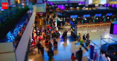 REAL ID शिवाय प्रवाशांसाठी TSA चे  शुल्क आता प्रभावी आहे: याचा अर्थ काय आणि कोणते ID स्वीकारले जातात |