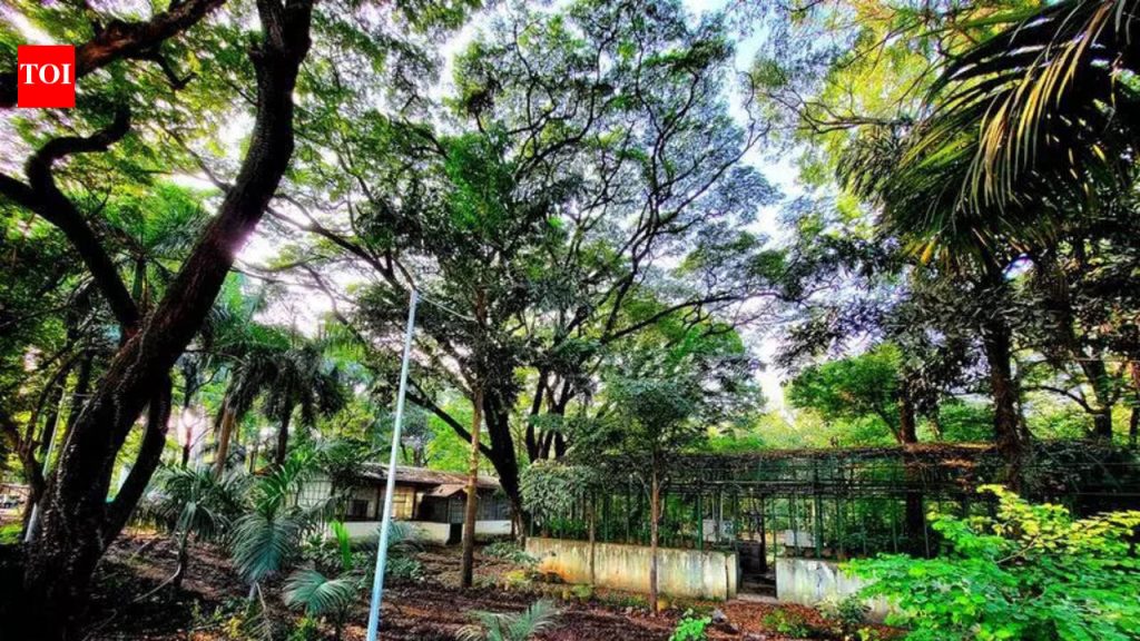 पुढील कार्यवाहीबाबत मुख्यमंत्र्यांशी सल्लामसलत करणार: मुंढवा जमीन व्यवहाराबाबत खर्गे समितीने अहवाल सादर केल्यानंतर बावनकुळे