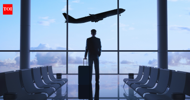 “मला प्रामाणिकपणे लाज वाटते… पराक्रमी भारतीयांनी प्रवासासाठी त्यांची नागरी जाणीव घेतली”: काही परदेशी भारतीय पर्यटकांचे मोठे चाहते का नाहीत यावर भारतीय प्रवासी विचार करतात.