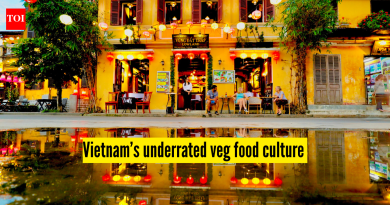 व्हिएतनाम हे आग्नेय आशियातील सर्वात कमी दर्जाचे शाकाहारी गंतव्य का असू शकते |