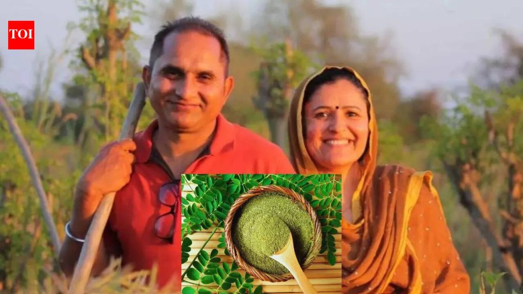 “माझा रक्तदाब 160 होता. माझ्यासाठी हा एक वेक-अप कॉल होता”: या तंत्रज्ञाने ₹३० लाखांचा ऑरगॅनिक ब्रँड तयार करण्यासाठी किफायतशीर IT नोकरी कशी सोडली