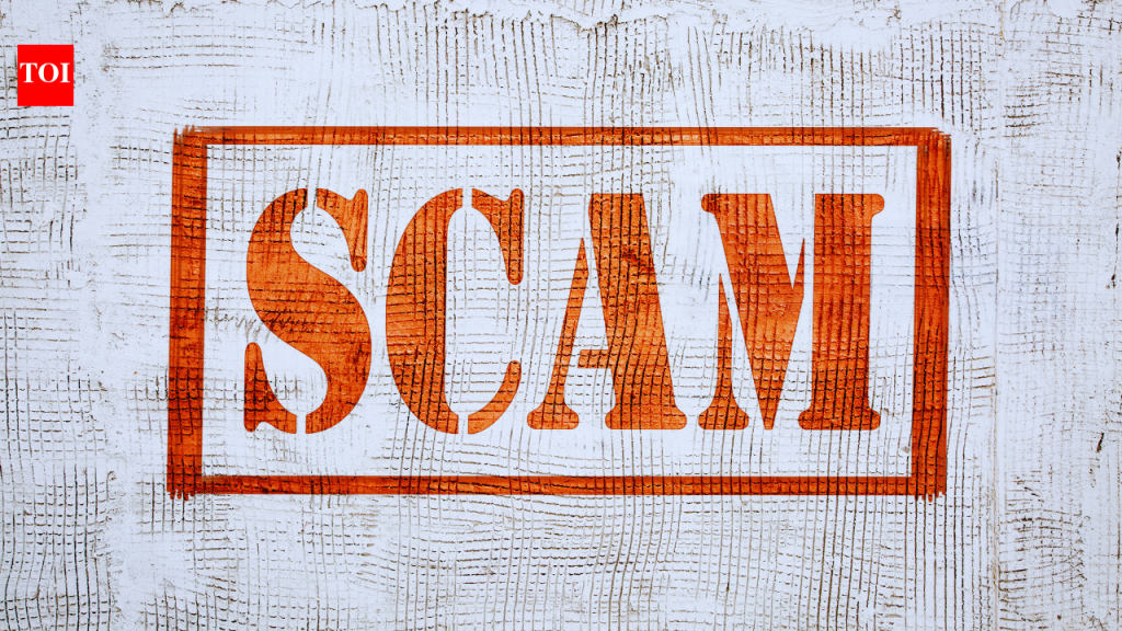 कथित जॉब व्हिसा घोटाळ्यात सिंगापूरमधून भारतीयाला हद्दपार; व्हिसा फसवणूक कशी शोधायची आणि टाळायची |