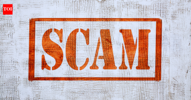 कथित जॉब व्हिसा घोटाळ्यात सिंगापूरमधून भारतीयाला हद्दपार; व्हिसा फसवणूक कशी शोधायची आणि टाळायची |