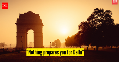 “दिल्लीसाठी तुम्हाला काहीही तयार करू शकत नाही…मला वाटले की मी जगलो…,” राजधानीचा कायमचा परिणाम का होतो यावर परदेशी प्रवासी |