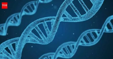 निएंडरथल्सने कत्तल केलेल्या घोड्यातील 200,000 वर्षांचा डीएनए जर्मनीमध्ये सापडला जिथे तो टिकला नसावा |