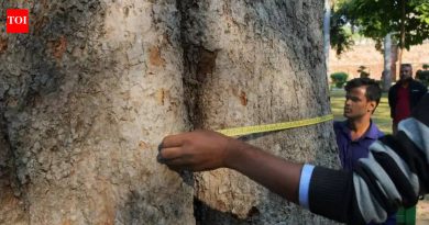 जादा आकारणीच्या आक्षेपानंतर पीएमसीने वृक्षगणनेचे कंत्राट थांबवले