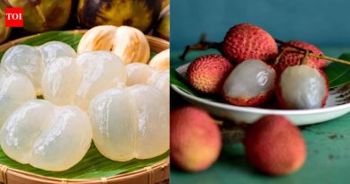 बर्फाचे सफरचंद वि लिची: ही दोन लोकप्रिय उन्हाळी फळे चव आणि पौष्टिकतेमध्ये कशी वेगळी आहेत |